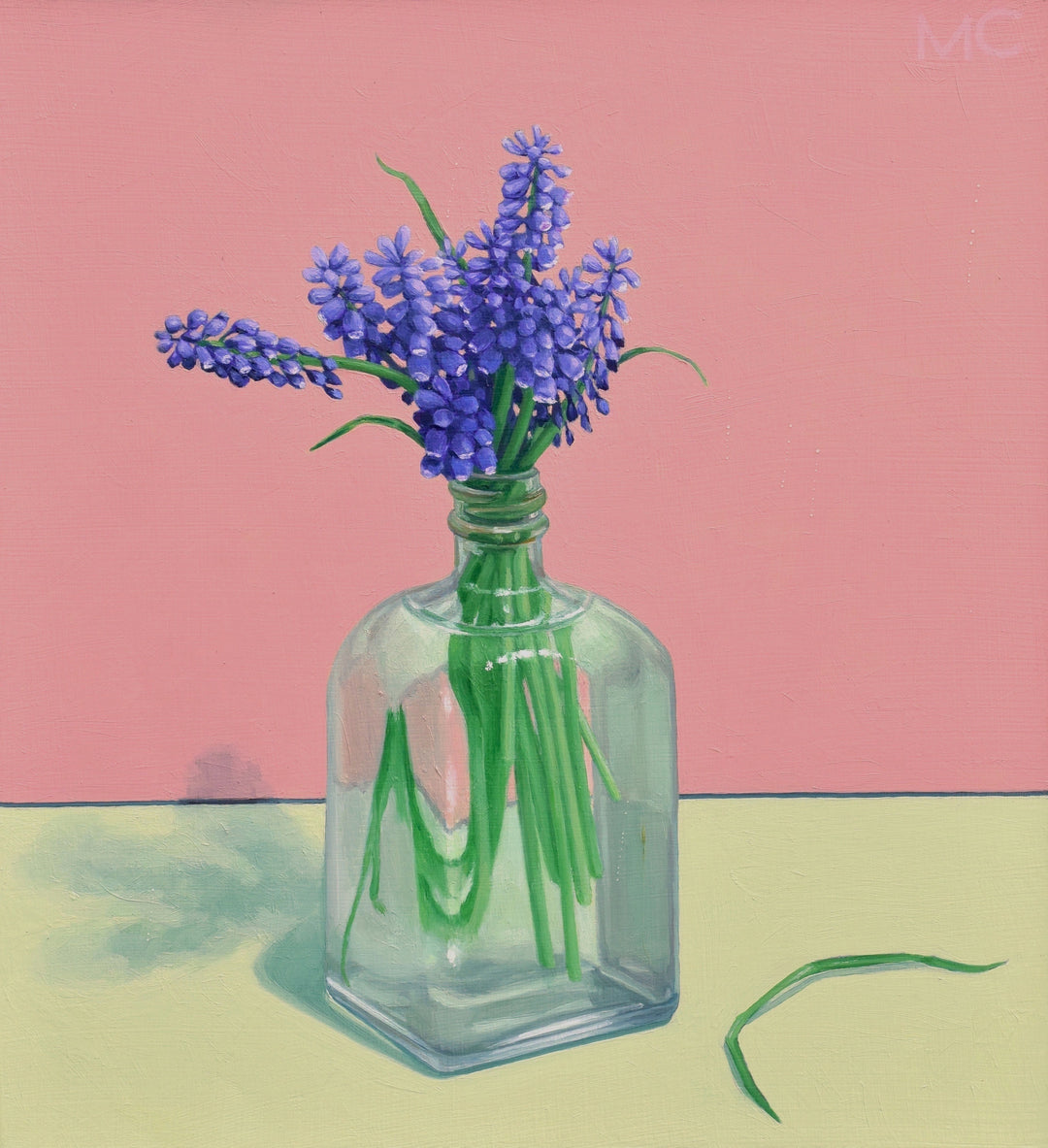 Malcolm Christhilf Hyacinths