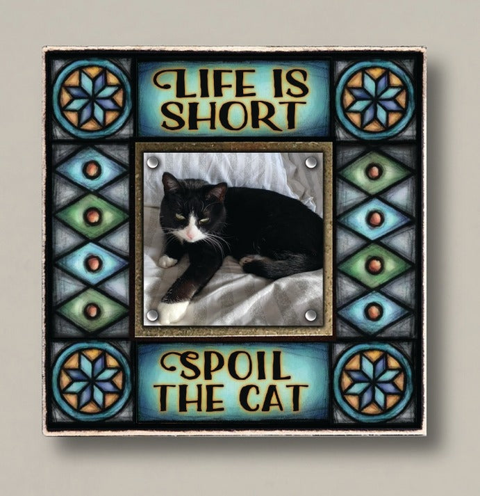 Small Magnetic Frame Spoil the Cat