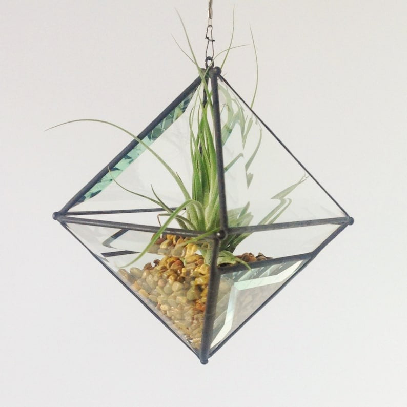 Hanging Pyramid Terrarium Clear