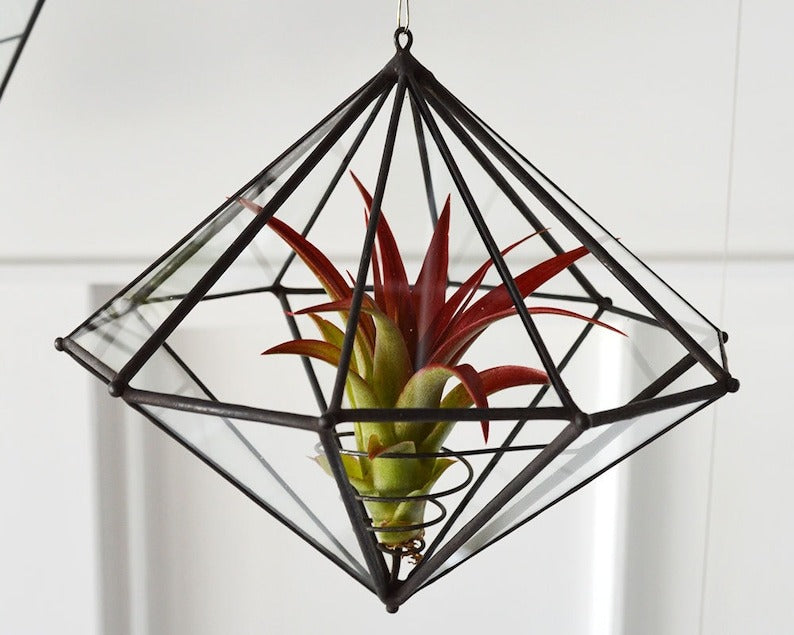 10 Sided Terrarium Planter