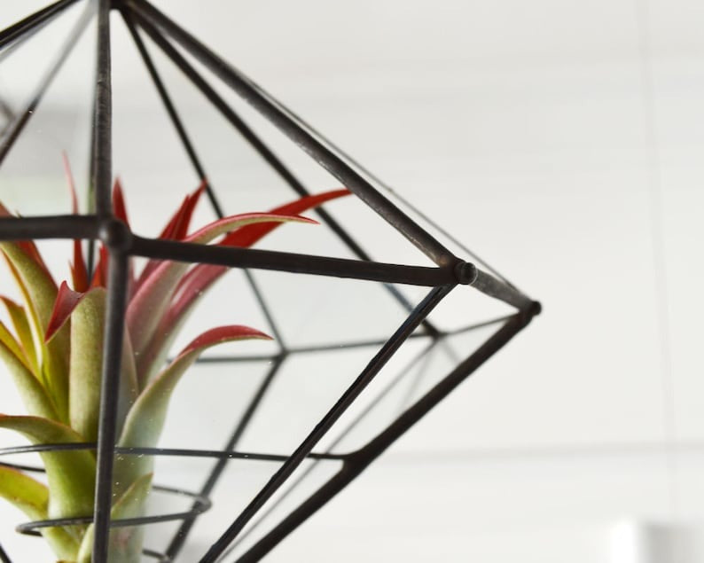 10 Sided Terrarium Planter