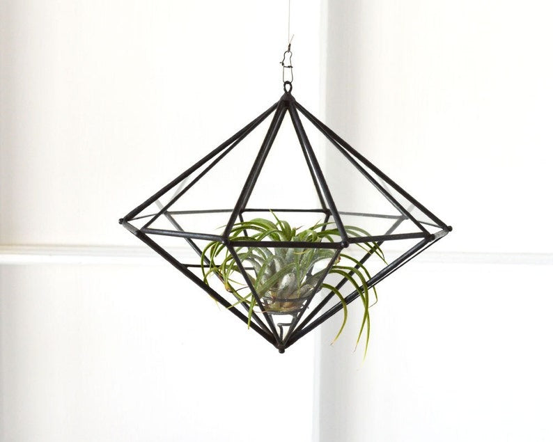 10 Sided Terrarium Planter