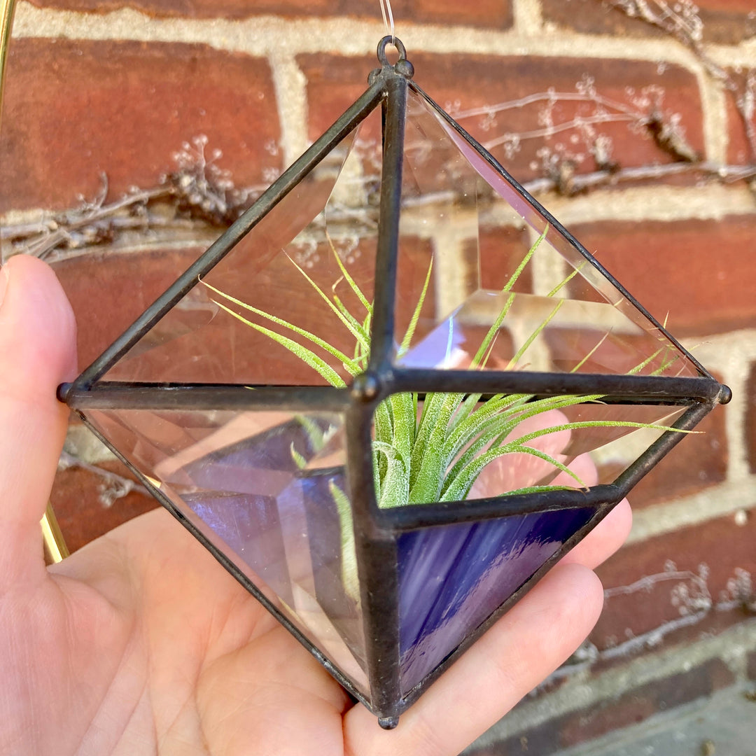 Hanging Pyramid Terrarium Purple