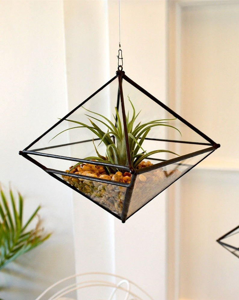 Prairie Terrarium Planter