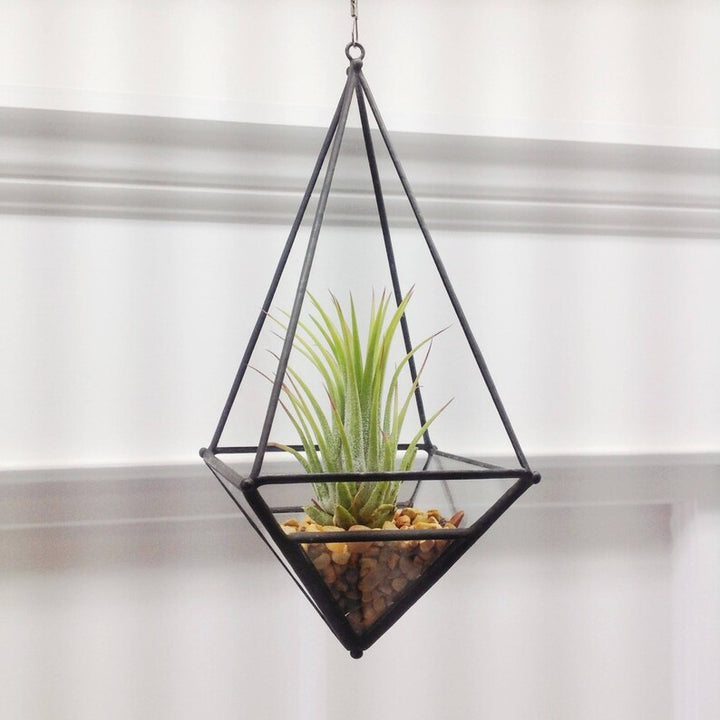 Hanging Teardrop Terrarium Large