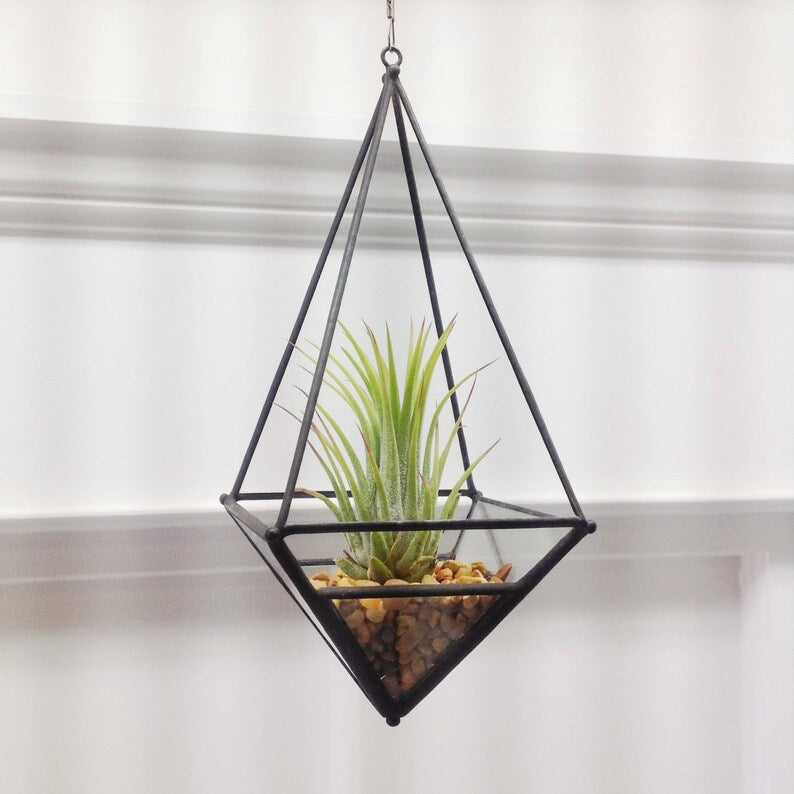 Hanging Teardrop Terrarium Medium