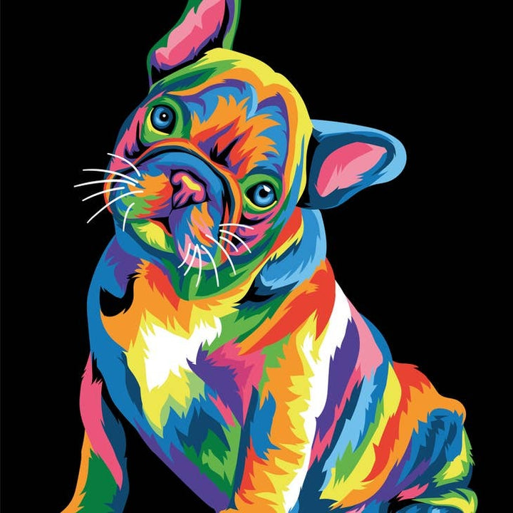 Colorful French Bulldog