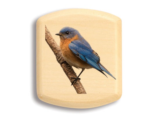 2" Secret Box Aspen Blue Bird