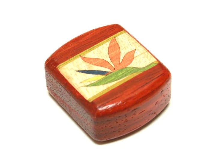 2" Medium Wide Box Padauk Bird of Paradise