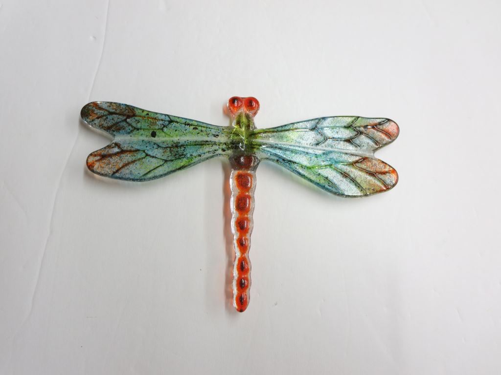 Bug Eyed Dragonfly