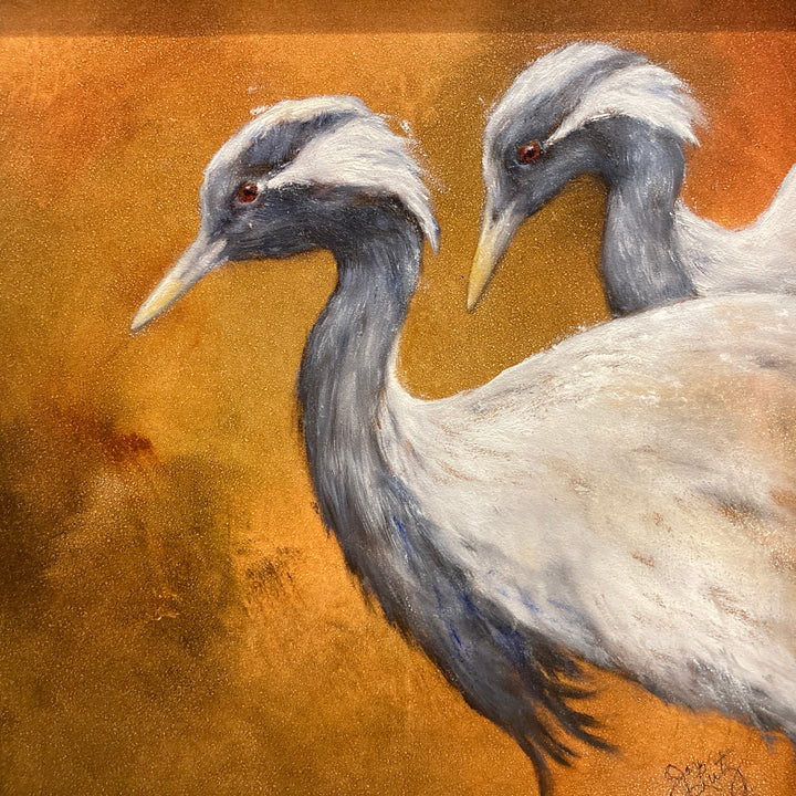 Demoiselle Crane