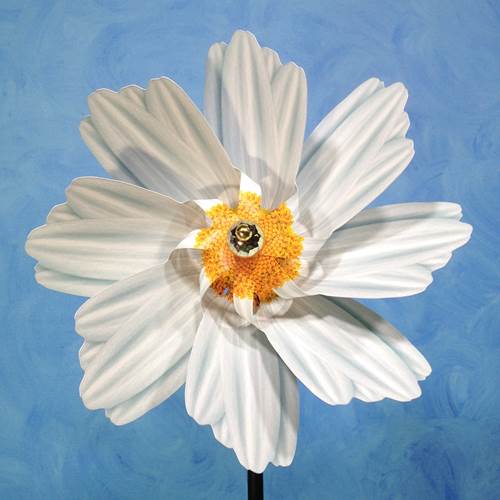 Pinwheel Daisy