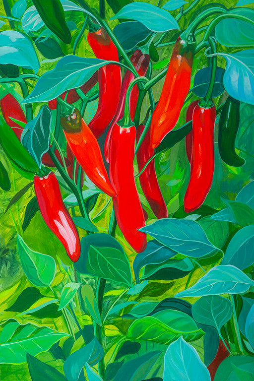 Red Chillis (Serranos)