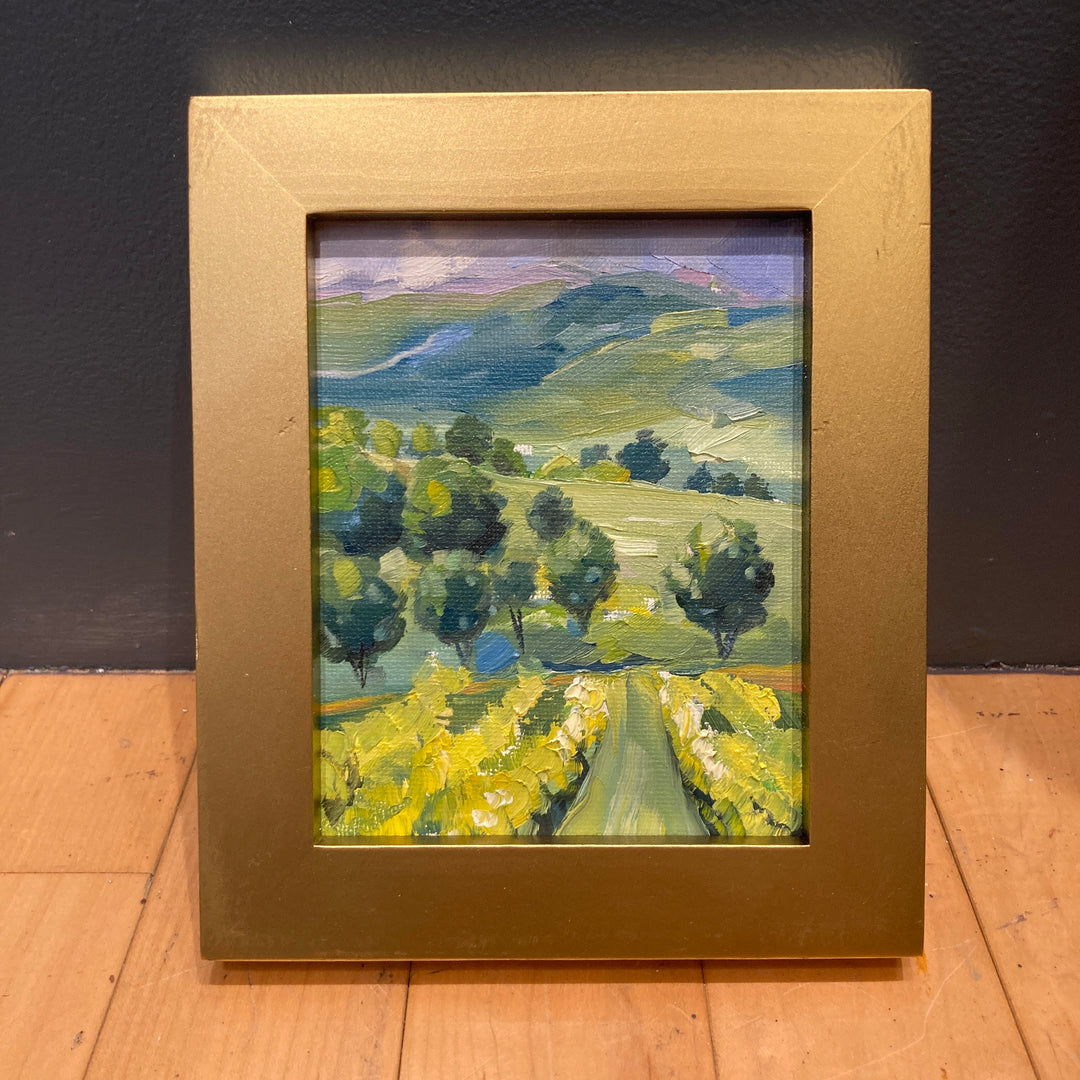 Vineyard Study