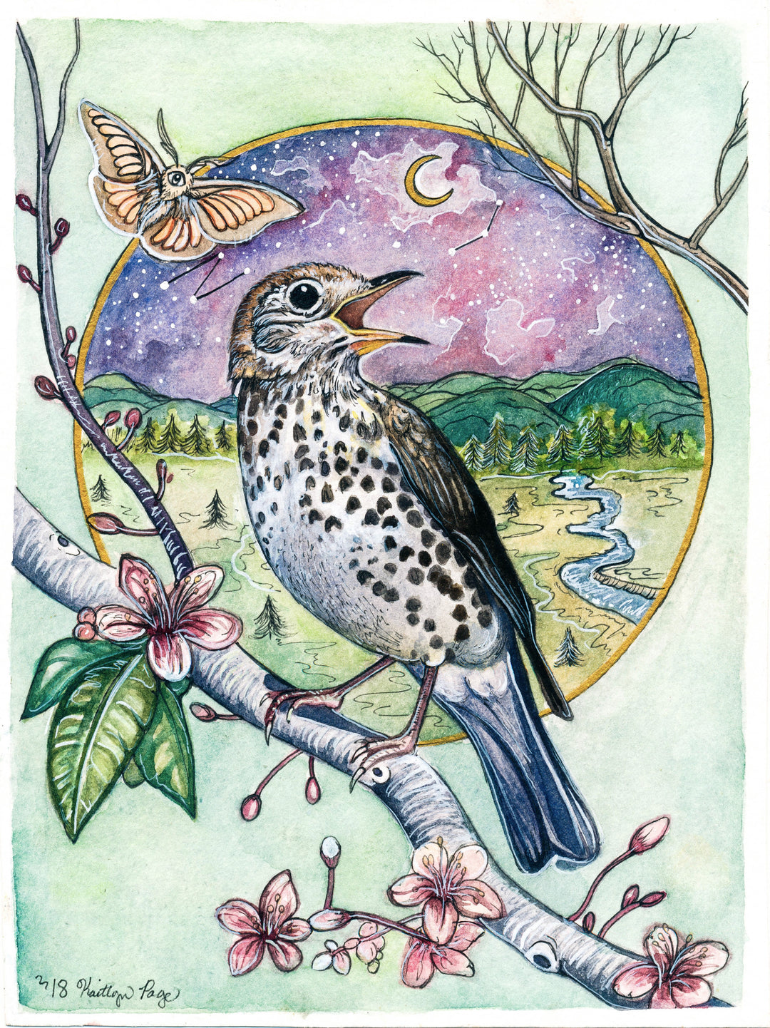 Woodthrush (2018)