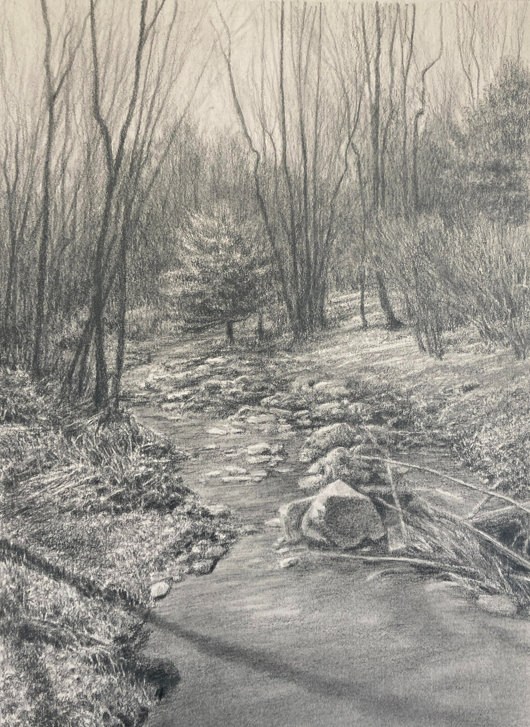 Small Stream - Winter Sun