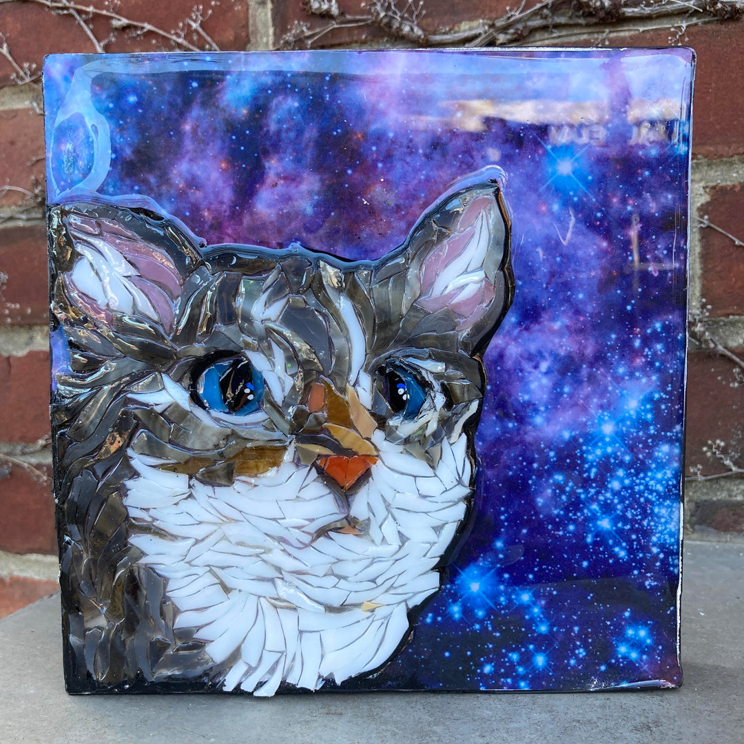 Starry Eyed Cat Mosaic