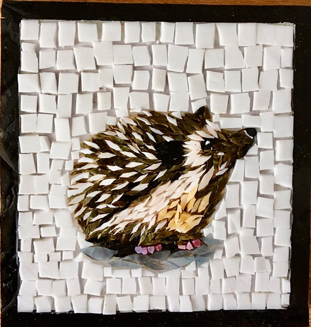 Hedgehog Study