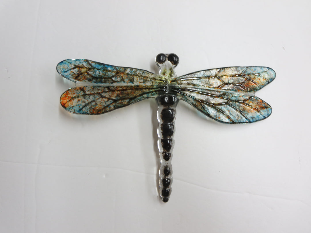 Bug Eye Dragonfly