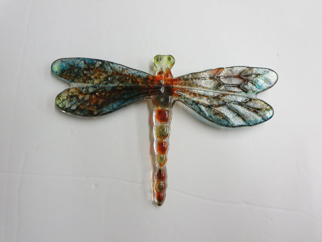 Bug Eyed Dragonfly