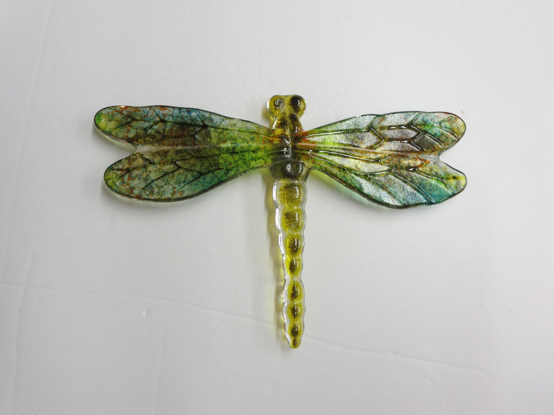 Bug Eyed Dragonfly