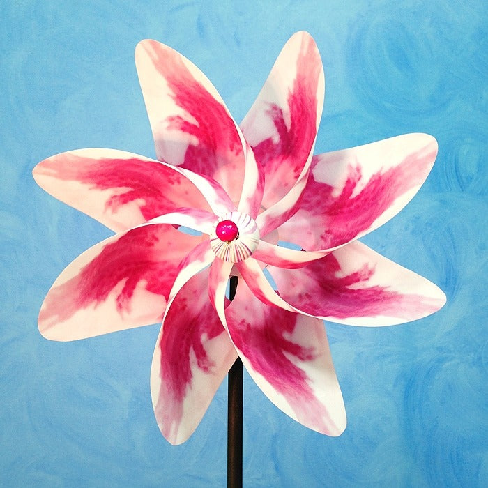 Pinwheel Pink White Rose