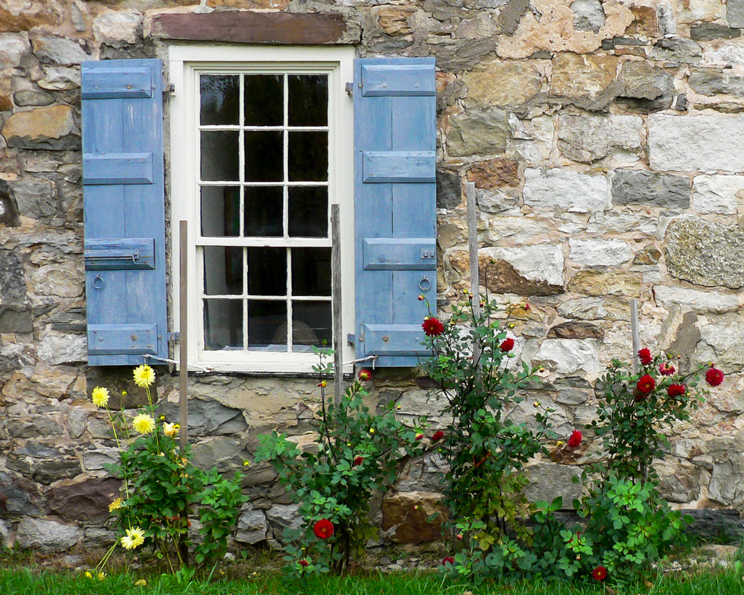 A Summer Window Scene