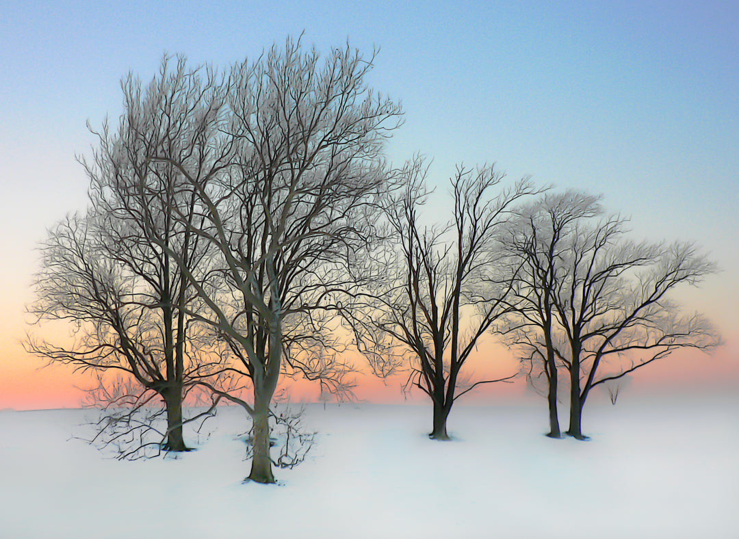 Frosty Winter Morning