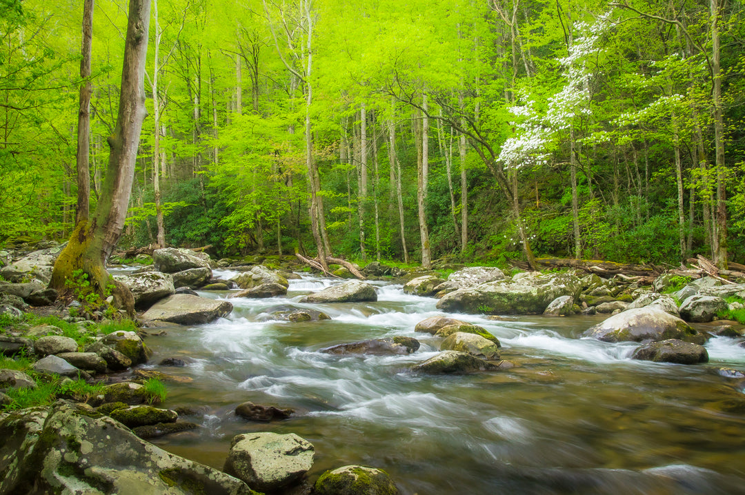 Little Pigeon River