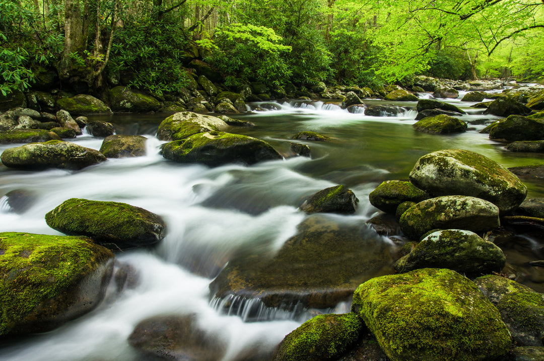 Spring On the River