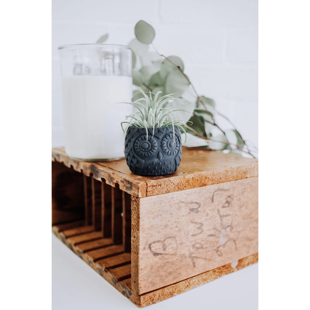 Concrete Owl Planter Charcoal