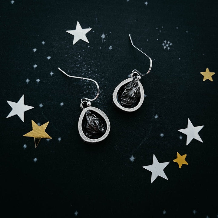 Teardrop Meteorite Dangle Earrings